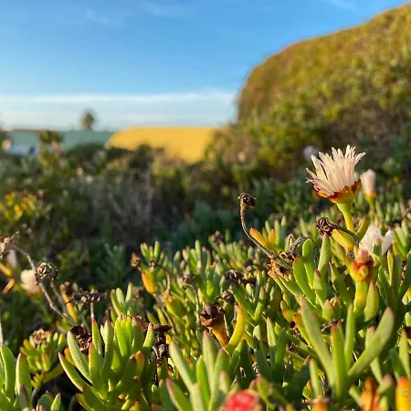 Casa Pedra Nobre Frühstückspension