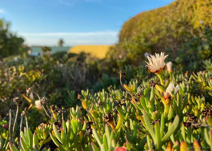 Casa Pedra Nobre فندق مبيت وإفطار