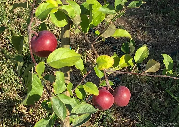 Casa Pedra Nobre فندق مبيت وإفطار Nadadouro